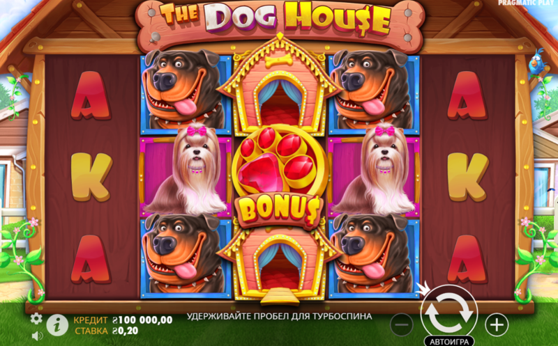 도그하우스 슬롯 귀여움과 고수익의 조합을 파헤치다